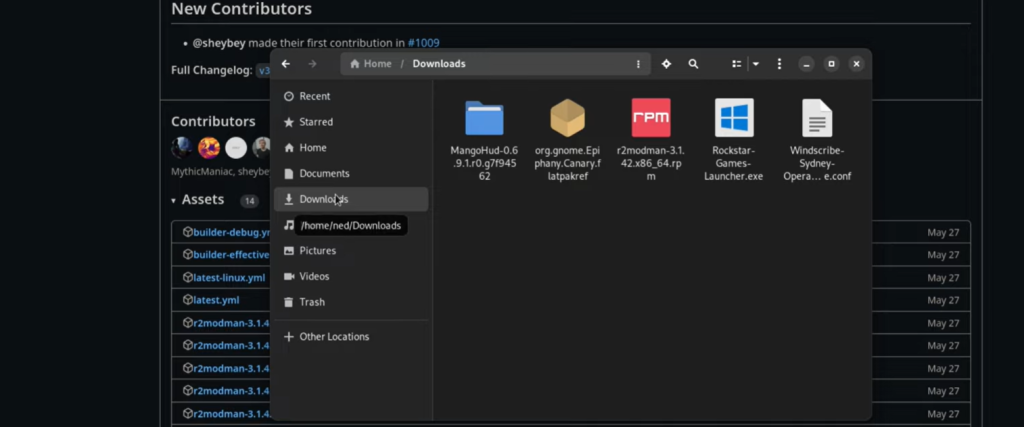 R2ModMan on Linux - Installation Guide
